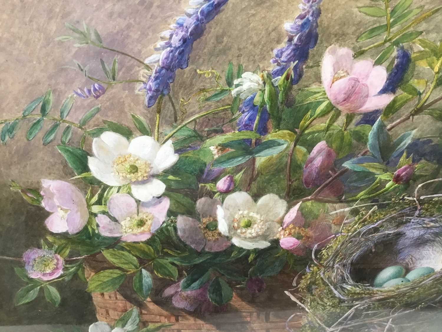 Slater, late Victorian watercolour - still life of flowers and birds eggs in a nest, signed, in glaz - Image 4 of 5