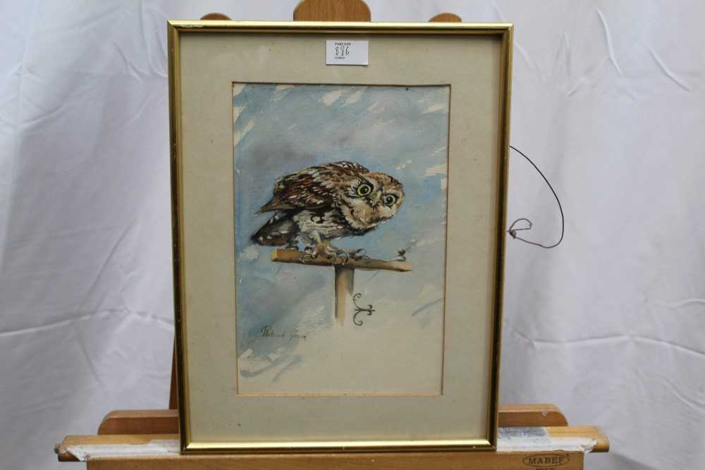 After Roland Green, watercolour - Golden Eagle, together with two others - Image 3 of 4