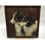 English School, early 20th century - pair of Collie Dogs