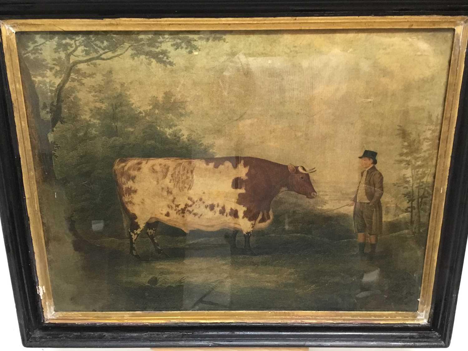 After Boultbee, early 19th century mezzotint - The Durham Ox, in glazed frame, 44cm x 59cm