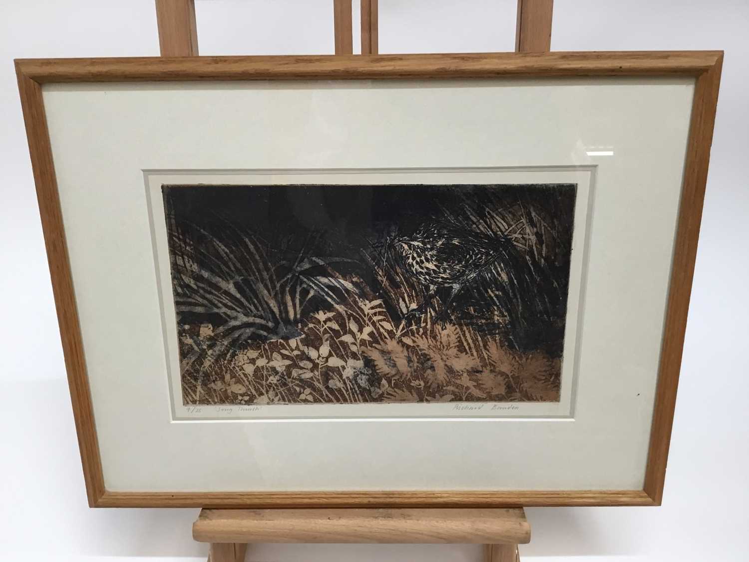 Signed limited edition Richard Bowden etching - 'Song Thrush' 4/25 - Image 2 of 4