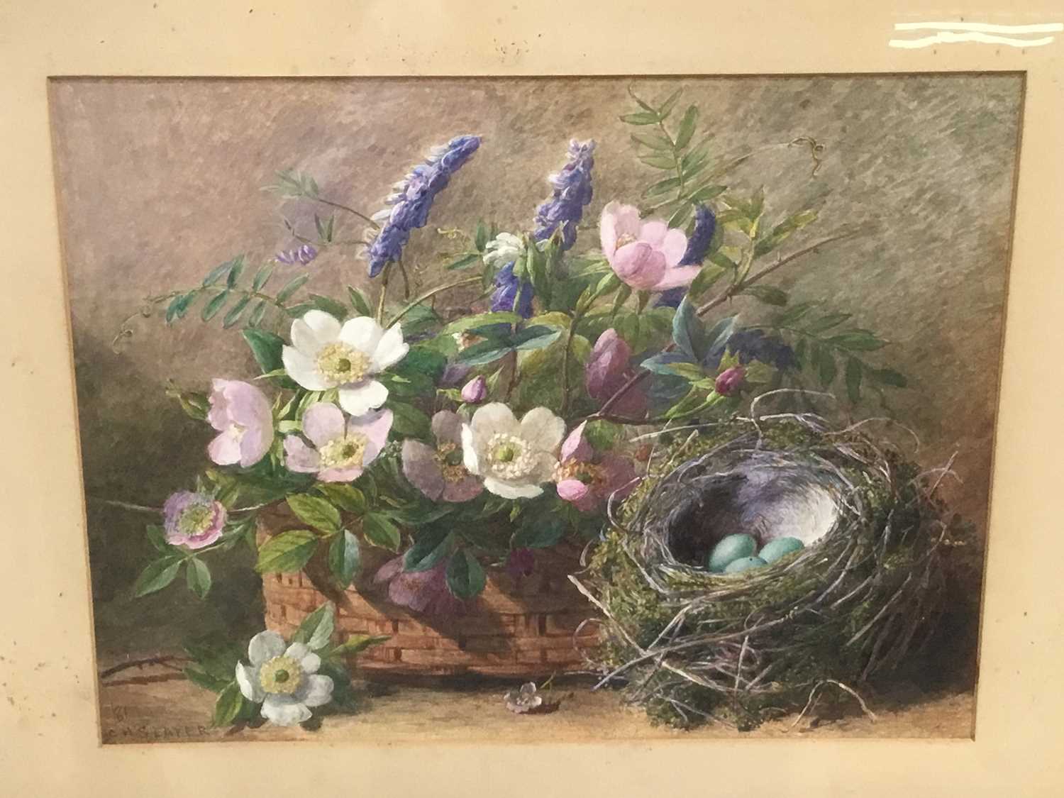 Slater, late Victorian watercolour - still life of flowers and birds eggs in a nest, signed, in glaz