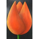 Peter McCarthy (b. 1955) oil on canvas - Tulip