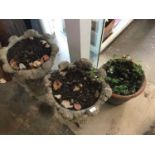 Pair of concrete garden planters together with a terracotta pot