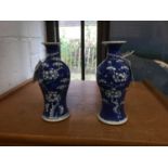 Pair of late 19th Century Chinese porcelain vases with prunus decoration on crushed ice ground, with