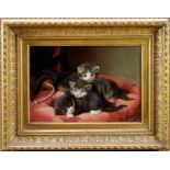 Attributed to Horacio Couldery (1832-1893) oil on canvas, kittens, labels verso, 25 x 33cm, framed