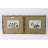 Pair of 19th century Chinese rice paper pictures