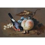 William Dexter Australian 1818-1860 Bullfinch gouache