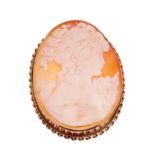 Large oval carved shell cameo depicting side profile of a lady, in 9ct gold brooch mount