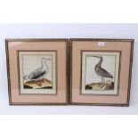 Francois Martinet - Two 18th century century bird engravings