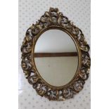 19th century Florentine oval wall mirror, with scrolling pierced acanthus frame, 71cm x 50cm