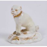 Derby porcelain figure of a pug dog