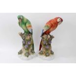 Pair continental porcelain parrots