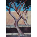 David Britton, contemporary, oil on board - Roadside Trees Lanzerotte, signed, framed, 58cm x 50cm