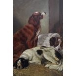 English School late 19th Century, oil on artist board – Three retriever dogs in a stable, 44cm x 35c