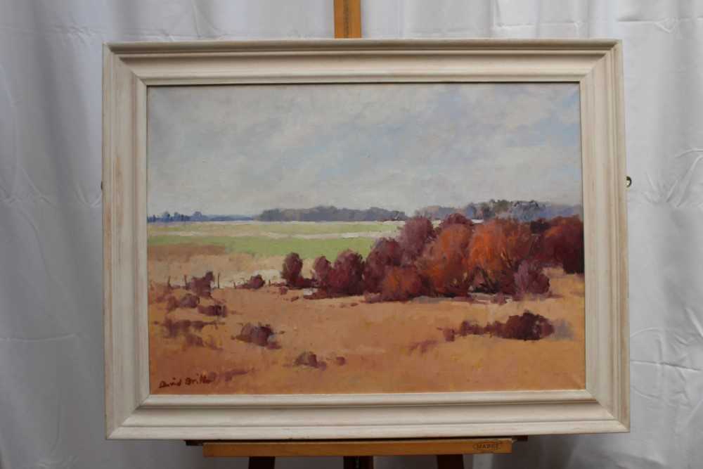 David Britton, contemporary, oil on canvas - Aldeburgh Marshes, signed, framed, 49cm x 70cm - Image 2 of 4