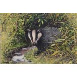 Mark Whittaker (b.1964) acrylic on board - a badger beside a stream, 29cm x 39cm, together with a co