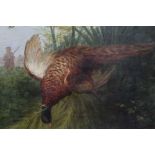 English School 19 th Century, oil on canvas – A downed pheasant, monogrammed CWS, in gilt frame, 35c