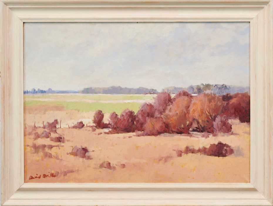 David Britton, contemporary, oil on canvas - Aldeburgh Marshes, signed, framed, 49cm x 70cm
