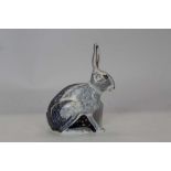 Royal Crown Derby paperweight - Starlight Hare