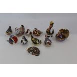 Eleven Royal Crown Derby paperweights including Brown Pelican, Catnip Kitten, other birds, ducks and