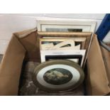 Mixed lot of pictures to include Edwardian watercolour, Stubbs print and others