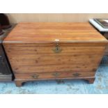 Nineteenth century camphor wood mule chest with hinged lid and drawer below