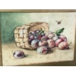 Four early 20th century watercolour paintings of fruit by Dorothy L Smith
