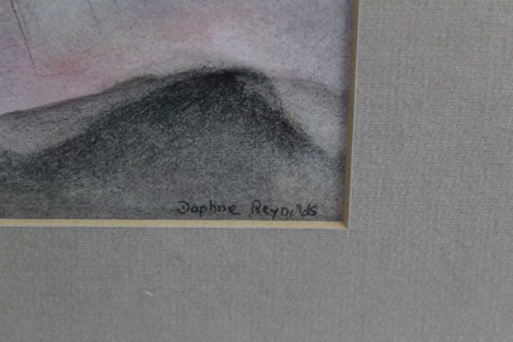 Pair of pastels by Daphne Reynolds (1918-2002) 'In the shadows of mount fungi' signed in glazed fram - Image 7 of 8