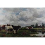 Flemish School, late 19th century, oil on canvas - cattle grazing, in gilt frame, 60cm x 101cm