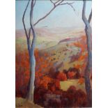 David Britton, contemporary, oil on canvas - Gringleford Near Sheffield, signed, framed, 99cm x 75cm