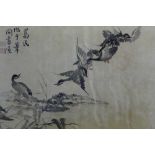 Five Chinese brush and ink paintings of ducks