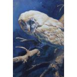 Robin Bouttell, signed oil on board- Barn Owl by night, framed