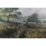 David Dipnall oil on canvas landscape