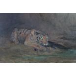Late 19th/early 20th century oil on panel - a tiger with its kill, initialled W.S.B, in gilt frame