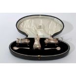 George V Silver three piece cruet set of cauldron form on hoof feet, the salt and mustard with remov