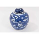 Late 19th century Chinese blue and white porcelain ginger jar