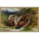 James Hardy (1832-1889) watercolour - dead pheasants, signed, in glazed frame