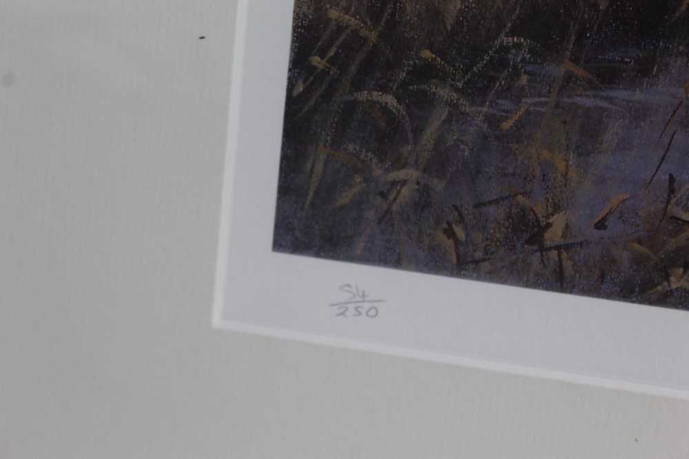 Julian Novorol (b.1949) signed limited edition print - wigeon in flight over the marshes, 54/250, mo - Image 4 of 4
