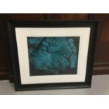 Jenny Gunning Contemporary Artists Proof 'Trees at Night' signed and dated 2016, mounted in glazed f
