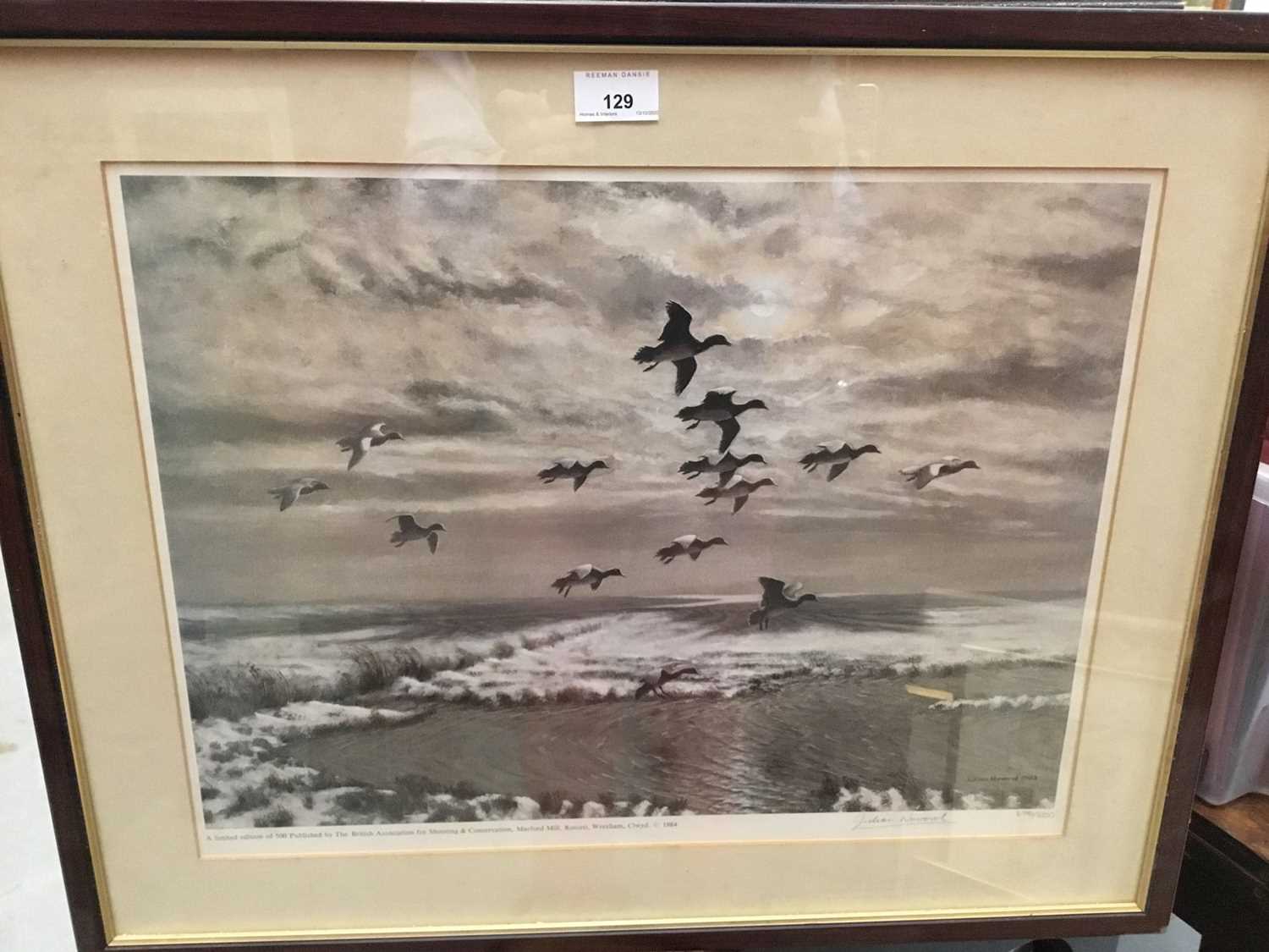 Julian Novorol (b.1949) signed print - widgeon in flight, 279/500, in glazed frame
