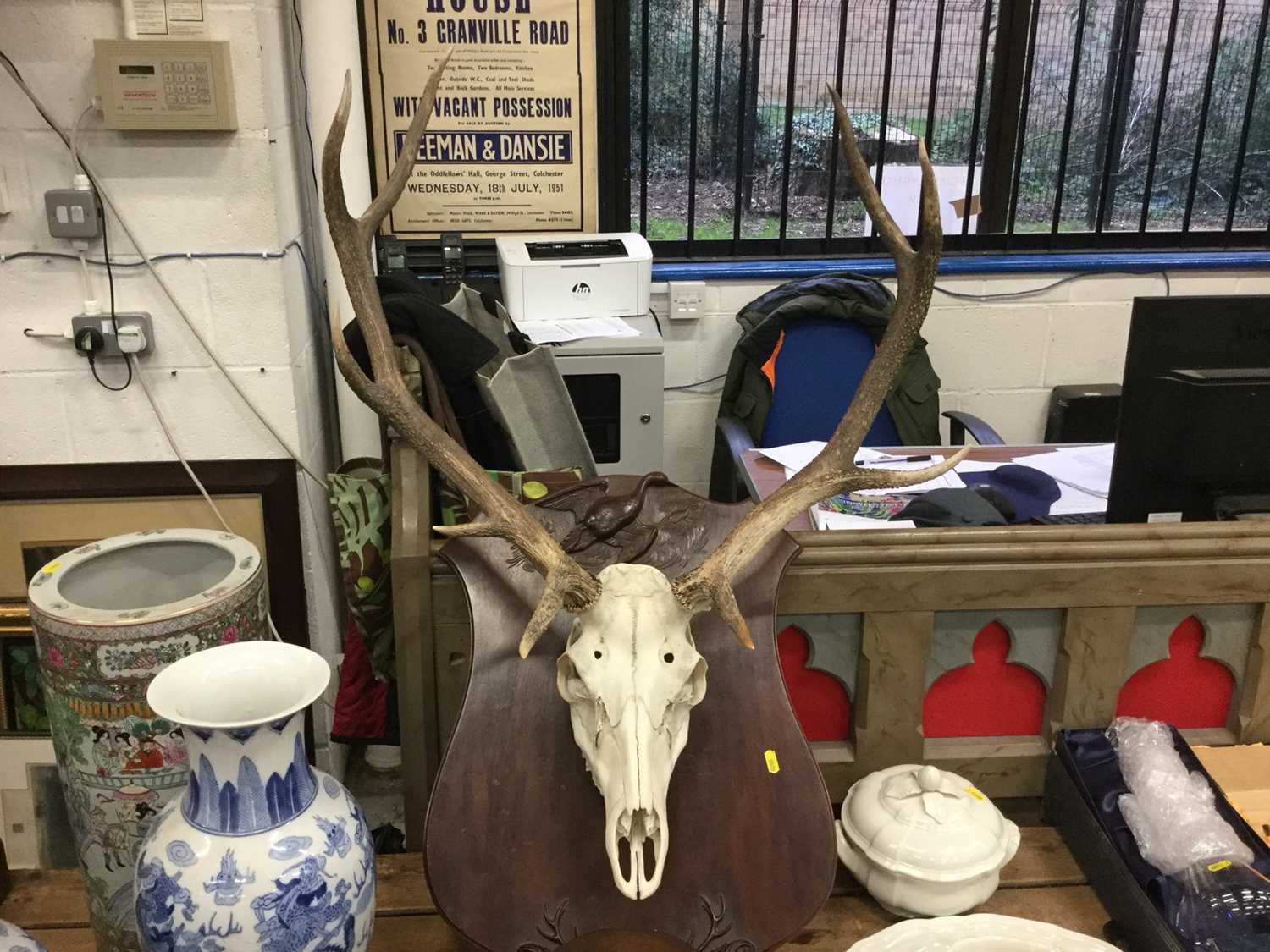 Antlers mounted on board