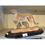 Country Artists sculpture of a Cheetah, boxed