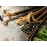 Collection of walking sticks and a shooting stick
