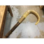 Segmented walking cane with gold plated collar and horn handle