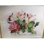 Jim Steinmeyer, pair of 1980s botanical watercolours band two other prints