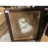 Marjorie Cox signed poratrait of a dog in glazed frame