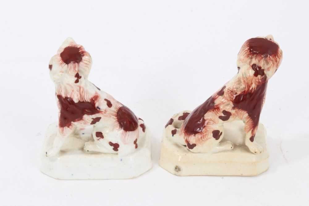 Small pair of Staffordshire models of spaniels, c.1840, 7.5cm height - Image 3 of 5