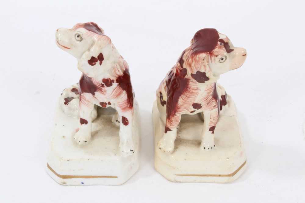 Small pair of Staffordshire models of spaniels, c.1840, 7.5cm height - Image 4 of 5