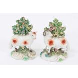 Pair late 18th century Derby porcelain models of sheep, shown standing on scrollwork bases, with boc